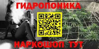 прущие крисы Будённовск
