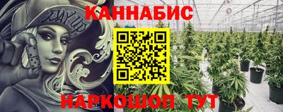 прущие крисы Будённовск