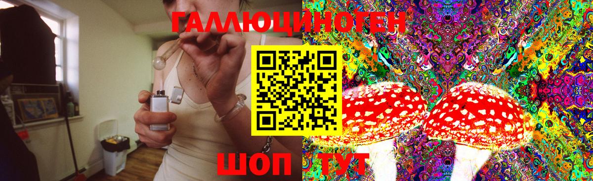 Галлюциногенные грибы MAGIC MUSHROOMS  Вход с VPN  что такое   Зеленогорск  Галлюциногенные грибы мицелий 