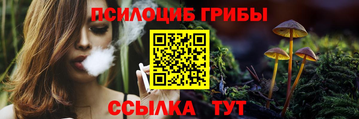 Бутират Зеленогорск