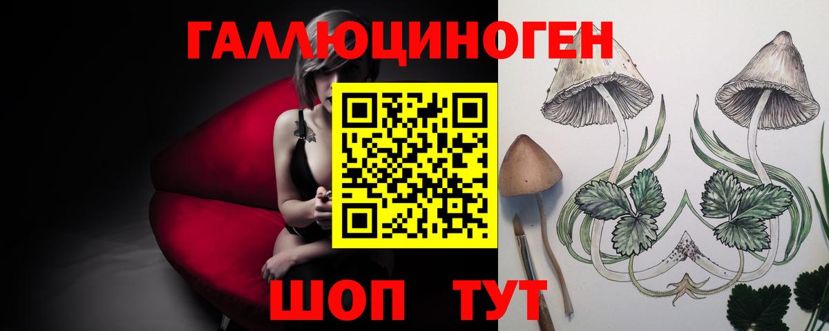 Псилоцибиновые грибы мицелий Зеленогорск